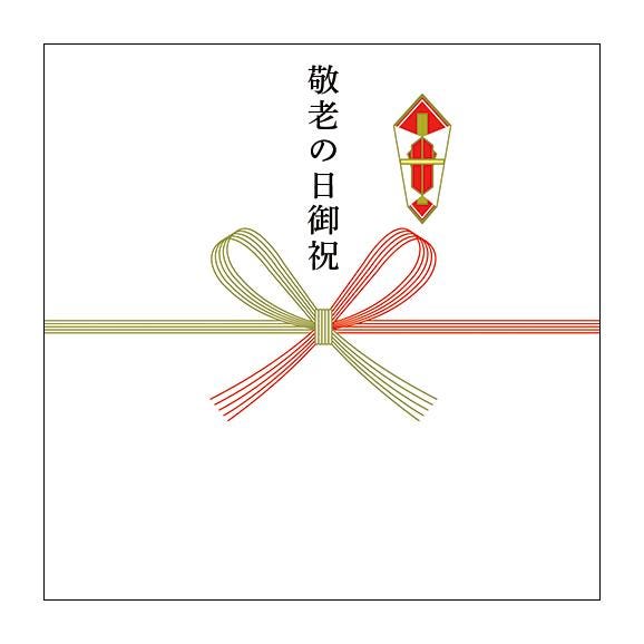 【敬老の日ギフト】プレミアムぶどうシャインマスカット約600g(300g×2パック)06