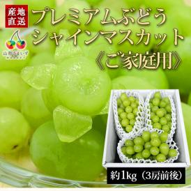 2025年6月頃～予約開始予定|《ご家庭用》プレミアムぶどうシャインマスカット約1kg(3房前後)