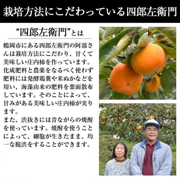 予約受付中：10月中旬頃より発送予定|《ご家庭用》四郎左衛門の庄内柿約5kg03