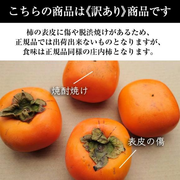 予約受付中：10月中旬頃より発送予定|《ご家庭用》四郎左衛門の庄内柿約5kg04