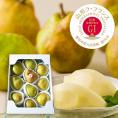 2025年9月頃～予約開始予定||山形ラ・フランス[GI登録]約3kg(2L10玉)