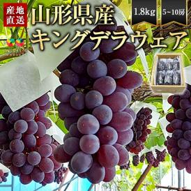 デラウエアの粒が大きくなった！食べごたえのある種なしぶどうキングデラです。