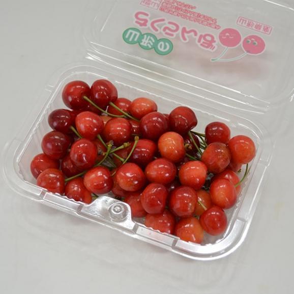 やまちゃん農園のさくらんぼ佐藤錦(220g×8パック)04
