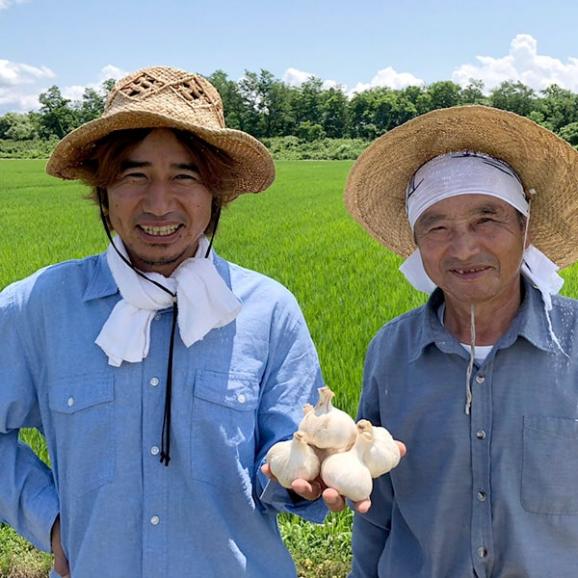 山形の生にんにく約1kg[ネット入]04