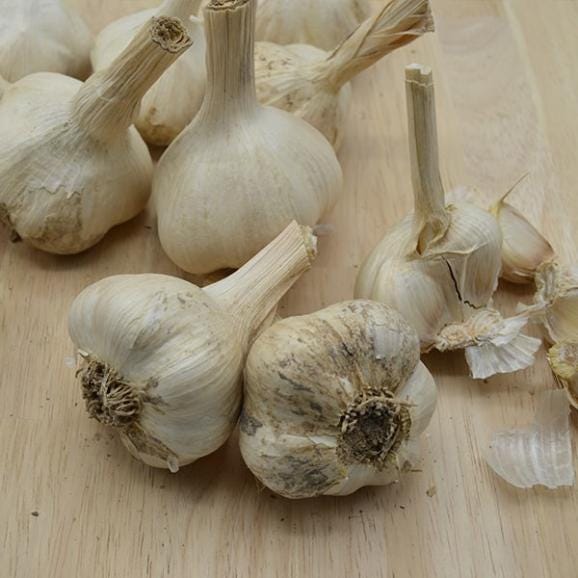 《根・土つき》山形の生にんにく約3kg03