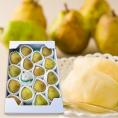 2025年9月頃～予約開始予定|極旨洋梨ラフランス約5kg(3L～2L/16～ 18玉)