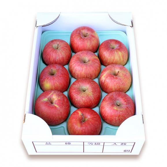 予約受付中:3月中旬頃より発送予定|春の厳選ふじりんご約3kg(8~12玉)02