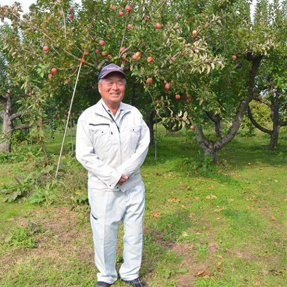 予約受付中:3月中旬頃より発送予定|春の厳選ふじりんご約3kg(8~12玉)03