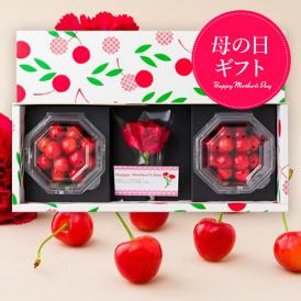 2026年3月頃～予約開始予定【母の日ギフト】さくらんぼ佐藤錦200gダイヤパック入[生カーネーション付]