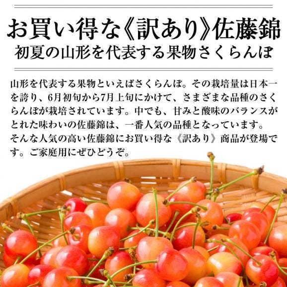予約受付中：6月中旬頃より発送予定|《訳あり》山形県産さくらんぼ佐藤錦1kgバラ詰(Mサイズ以上・双子果など)03