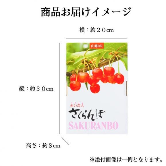 予約受付中：6月中旬頃より発送予定|《訳あり》山形県産さくらんぼ佐藤錦1kgバラ詰(Mサイズ以上・双子果など)04