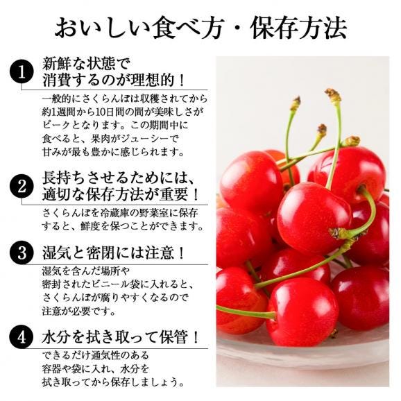 予約受付中：6月中旬頃より発送予定|《訳あり》山形県産さくらんぼ佐藤錦1kgバラ詰(Mサイズ以上・双子果など)05