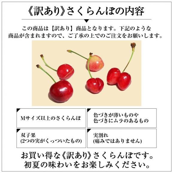 予約受付中:6月中旬頃より発送予定|《訳あり》山形県産さくらんぼ佐藤錦600gバラ詰(Mサイズ以上・双子果など)06