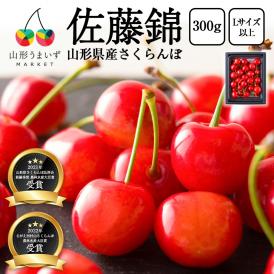 予約受付中：6月中旬頃より発送予定|特秀さくらんぼ佐藤錦[山形セレクション]300gバラ詰Lサイズ以上