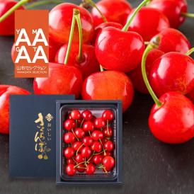 【販売再開未定】特秀さくらんぼ佐藤錦[山形セレクション]300gバラ詰Lサイズ以上