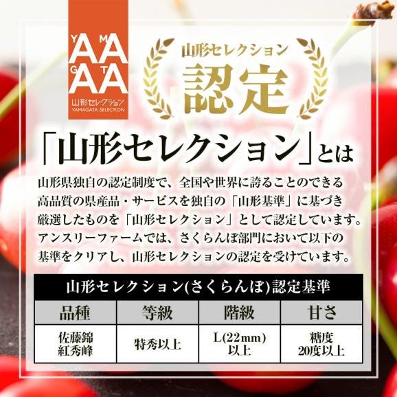 予約受付中：6月中旬頃より発送予定|特秀さくらんぼ佐藤錦[山形セレクション]300gバラ詰Lサイズ以上02