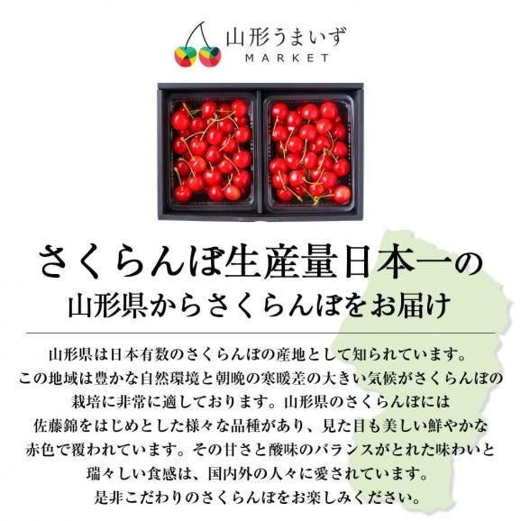 予約受付中：6月中旬頃より発送予定|特秀さくらんぼ佐藤錦[山形セレクション]300gバラ詰Lサイズ以上03