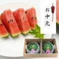 予約受付中：7月下旬頃より発送予定|【お中元】小玉すいかピノガール2玉(約1.8kg×2玉)