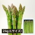 予約受付中:5月中旬頃より発送予定|銀山アスパラガス2kg(Lサイズ)