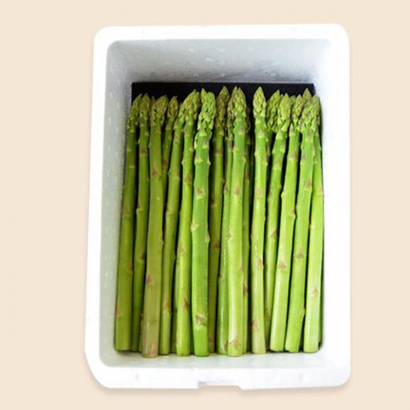 予約受付中：5月中旬頃より発送予定|銀山アスパラガス2kg(Lサイズ)05