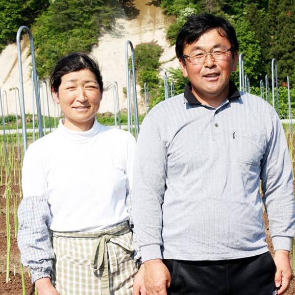 予約受付中：5月中旬頃より発送予定|銀山アスパラガス2kg(Lサイズ)06