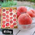 予約受付中：8月中旬頃より発送予定|プレミアム白桃約5kg(15～22玉)