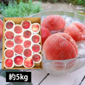 予約受付中：8月中旬頃より発送予定|プレミアム白桃約5kg(15～22玉)