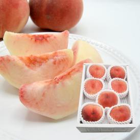 予約受付中：8月上旬頃より発送予定|プレミアム白桃 あかつき 約2kg(6～9玉)
