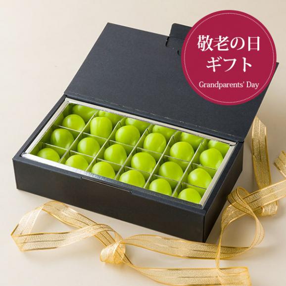 【敬老の日ギフト】おらほぶんど／大粒ぶどうシャインマスカット[ギフトBOX]01