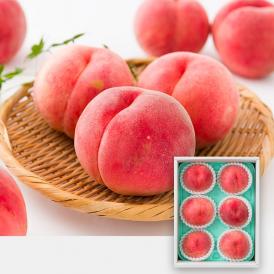 2025年6月頃～予約開始予定|森谷果樹園の白桃 陽夏妃(ようかひ)約2kg(6～8玉)