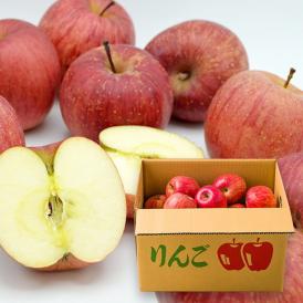 味が濃くて生き生きとした味わいのご家庭用サンふじりんごをぜひお楽しみください。