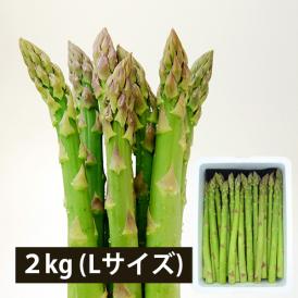 2026年3月頃～予約開始予定|銀山アスパラガス2kg(Lサイズ)＜春出荷＞