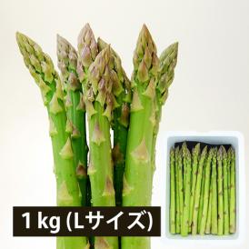 予約受付中：7月下旬頃より発送予定|銀山アスパラガス1kg(Lサイズ) ＜夏出荷＞