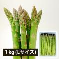 2026年3月頃～予約開始予定|銀山アスパラガス1kg(Lサイズ)＜春出荷＞