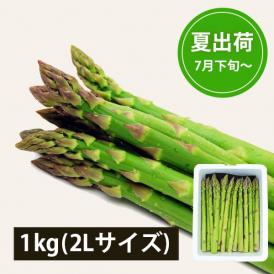 極太銀山アスパラガス1kg(2Lサイズ)＜夏出荷＞