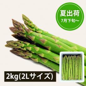 極太銀山アスパラガス2kg(2Lサイズ)＜夏出荷＞
