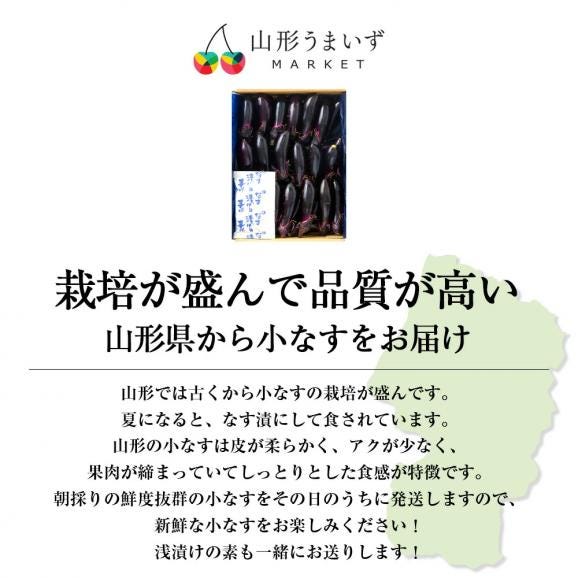 予約受付中：6月下旬頃より発送予定|朝採り小なす約2kg(3Sサイズ・浅漬けの素付き)(1kg×2箱)02