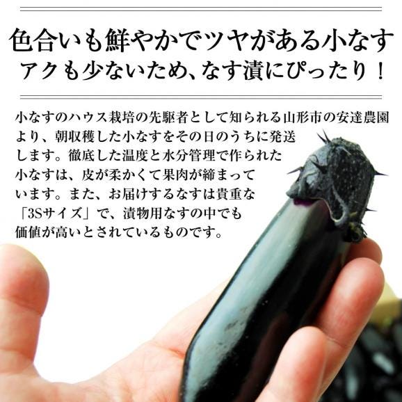 予約受付中：6月下旬頃より発送予定|朝採り小なす約2kg(3Sサイズ・浅漬けの素付き)(1kg×2箱)03