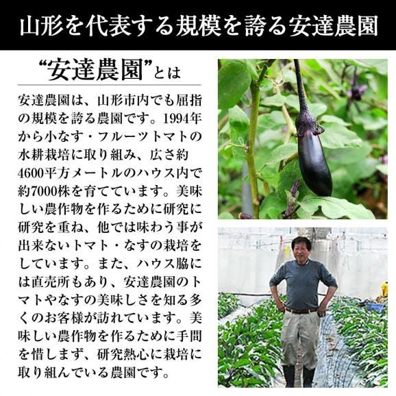 予約受付中：6月下旬頃より発送予定|朝採り小なす約2kg(3Sサイズ・浅漬けの素付き)(1kg×2箱)04