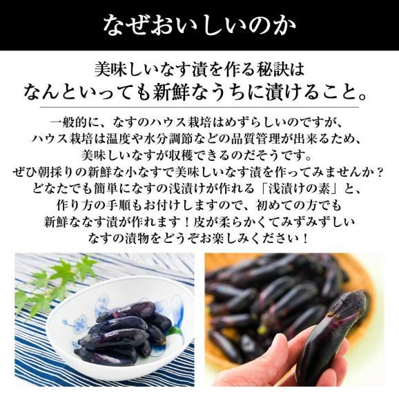 予約受付中：6月下旬頃より発送予定|朝採り小なす約2kg(3Sサイズ・浅漬けの素付き)(1kg×2箱)05