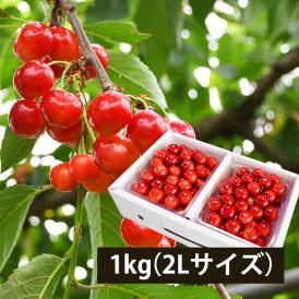 予約受付中：6月下旬頃より発送予定|【きれい詰め】極旨さくらんぼ紅秀峰 約1kg 2Lサイズ以上