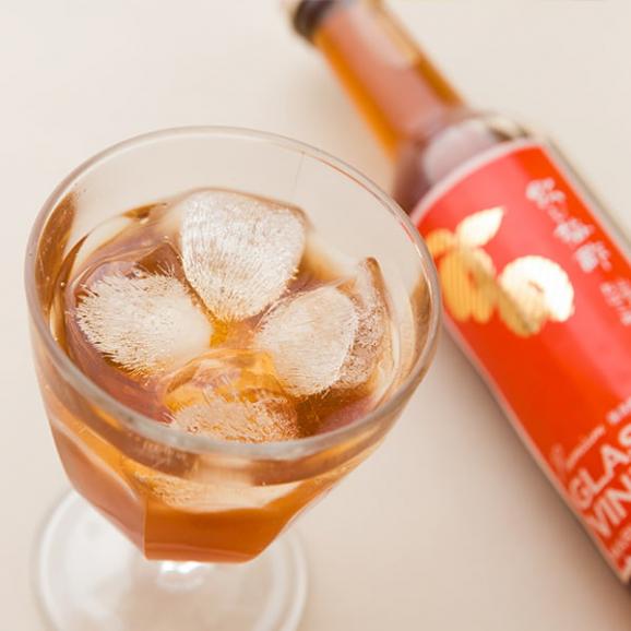 飲む果実酢プレミアムセット山ぶどう酢・梅酢(300mlx2本)(2倍濃縮）02