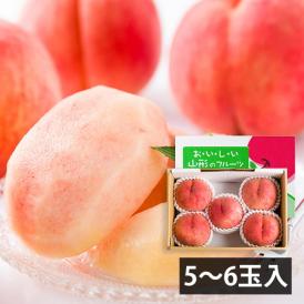 予約受付中：8月下旬頃より発送予定|堀さんの白桃 川中島(5～6玉)[8月下旬]