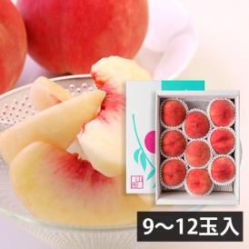 予約受付中：9月上旬頃より発送予定|堀さんの白桃 伊達白桃(9～12玉)[9月上旬]