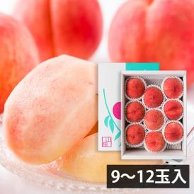 予約受付中：8月下旬頃より発送予定|堀さんの白桃 川中島(9～12玉)[8月下旬]