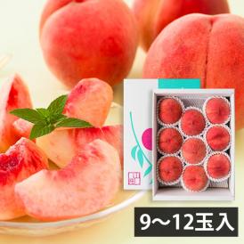 予約受付中：8月中旬頃より発送予定|堀さんの白桃 まどか(9～12玉)[8月中旬]