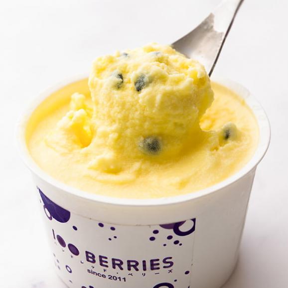 100BERRIES／ジェラート詰め合わせ12個(ブルーベリー・パッションフルーツ・レモン)05