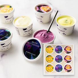 100BERRIES／ジェラート詰め合わせ9個(ブルーベリー・パッションフルーツ・レモン)