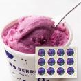 100BERRIES／ブルーベリージェラート12個