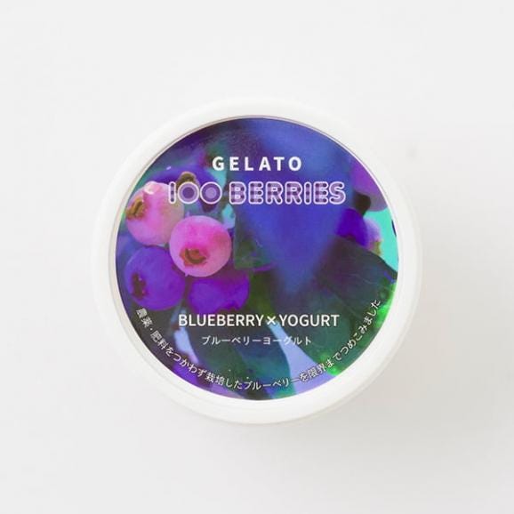 100BERRIES／ブルーベリージェラート12個04